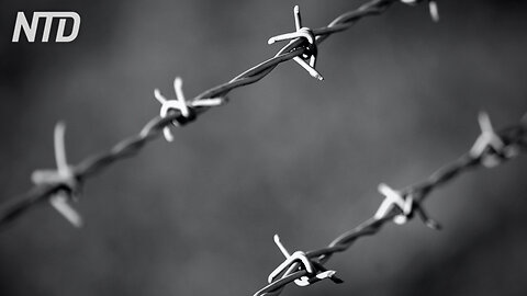 Il nuovo Leviatano, perché alla censura non serve rinchiudere i dissidenti nei lager