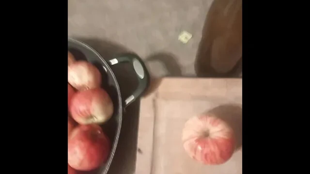If god gives you apples make.....