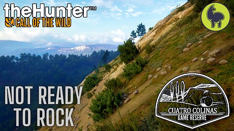 Not Ready to Rock, Cuatro Colinas | theHunter: Call of the Wild (PS5 4K)