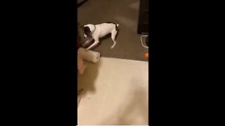 Princess plays with paper towel roll