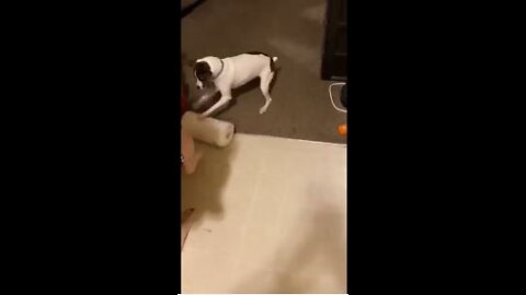 Princess plays with paper towel roll