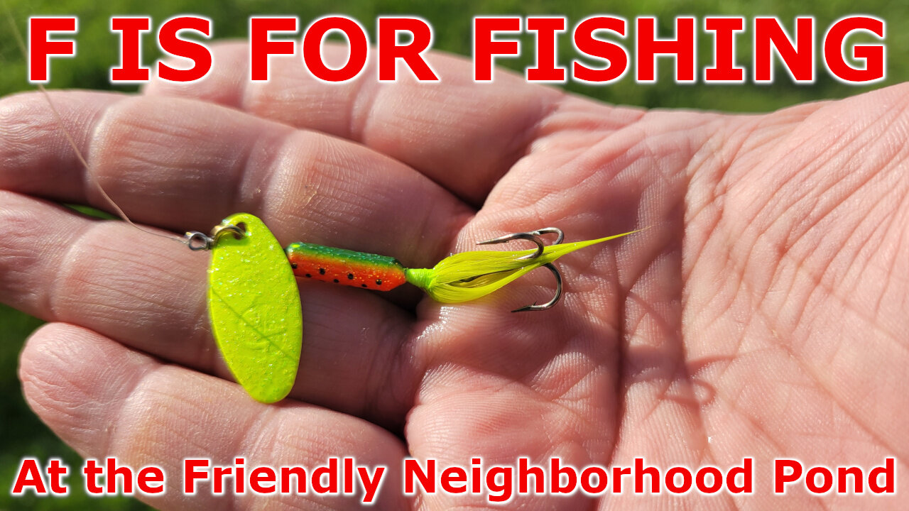 At the Friendly Neighborhood Pond