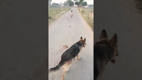 बच्चे ने की अग्नेश के साथ फुल मस्ती#rudrakrishna #shorts #trending #dog #dogpets #animals