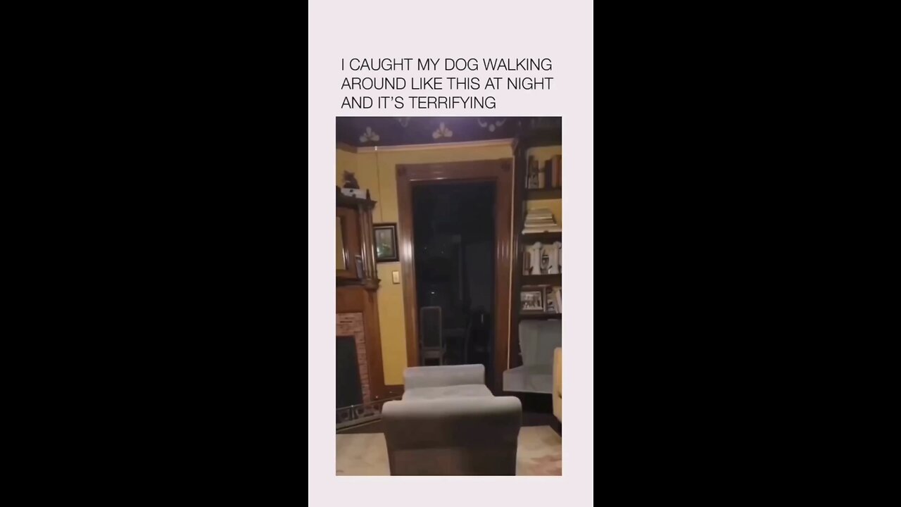 Terrifying moment when dog 🐕 was caught walking strangely in the middle of the night