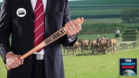 How Big Business Uses Big Government to Rape You