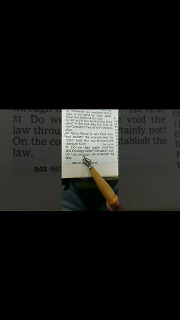 Christian, Establish The Law! (Romans 3:31)