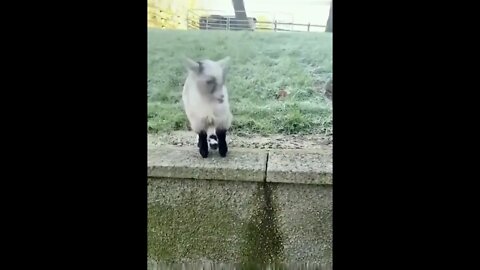 Hey listen i want to play 🤣😀