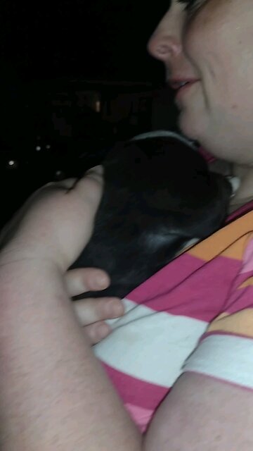 Brandy she's a fine girl.