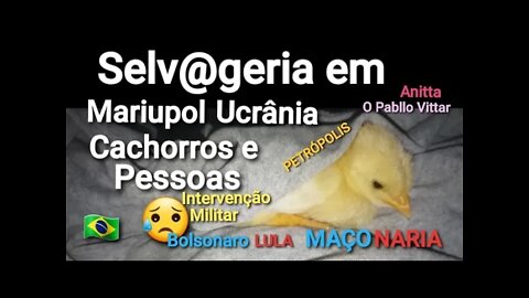 Selv@geria Mariupol/Cachorro/Homens/Soldados/Intervenção Militar Lula Bolsonaro Maçonaria NOVA ORDEM