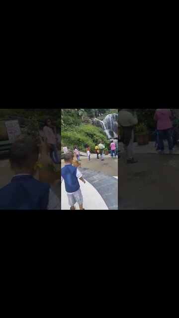 Rock garden a papar video