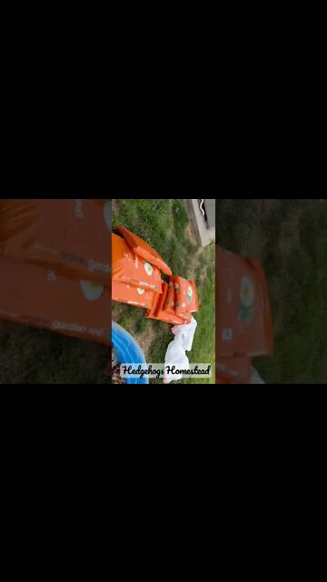 How do establish new garden beds #gardeningtips