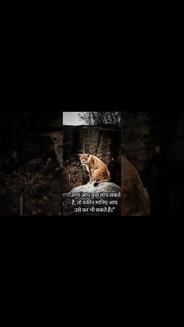 Motivational quotes 9 | Sigma Rules | Respect | #shorts