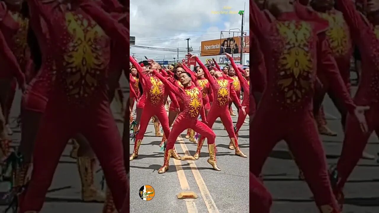 CORPO COREOGRÁFICO 2022 - DRUM CORPS SEDEC 2022 NO DESFILE CÍVICO 2022 - #shorts