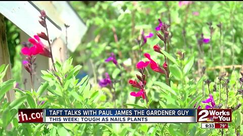 In The Garden with Paul James
