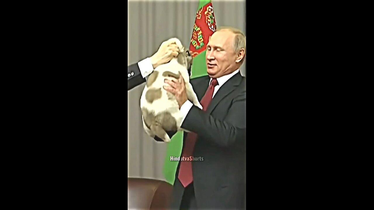 Great Leaders Always Love Animals #respect #putin #modi #sigma