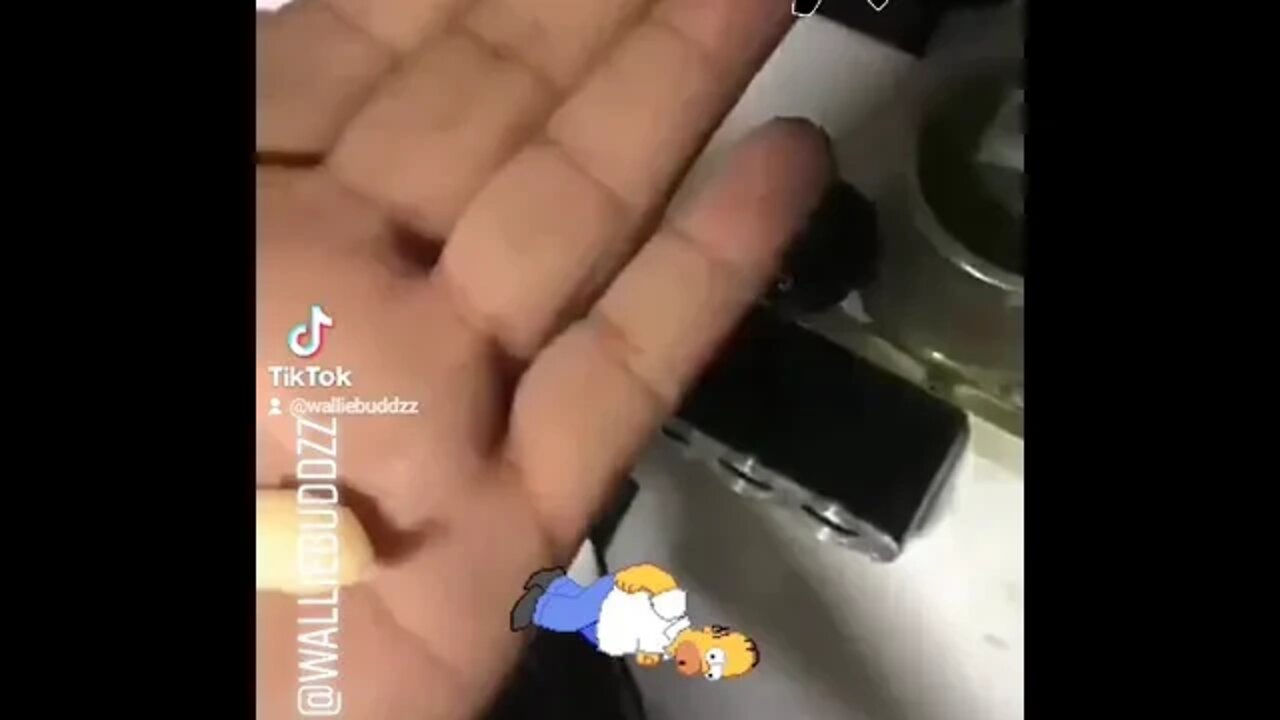 WTF x3