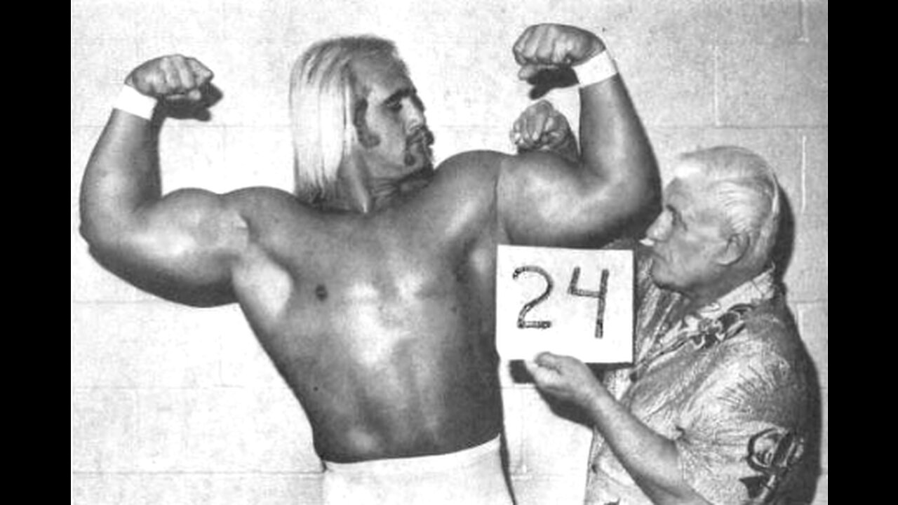 Hulk Hogan's Fibs and Other Wrestling Drama