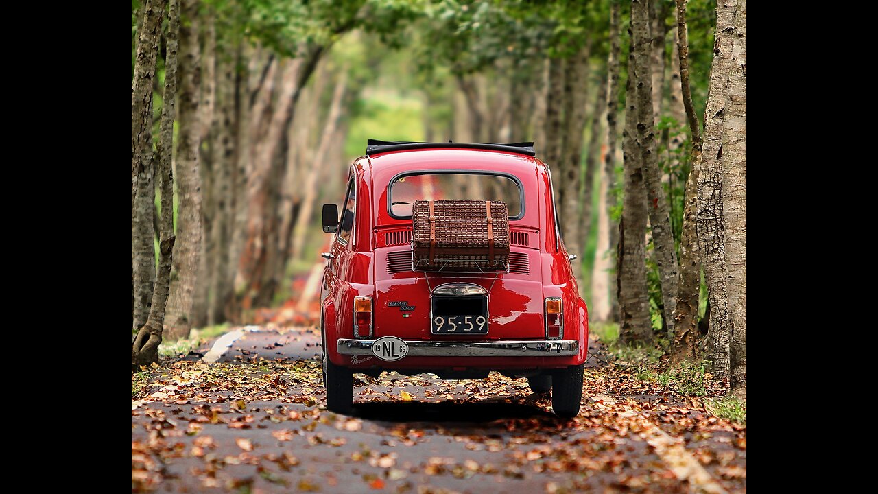 Car lover