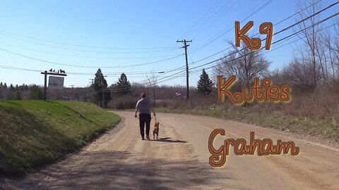 K9 Kuties "Graham"