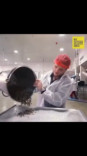 Bug Milk...Yum. Eat Zee Bugs!