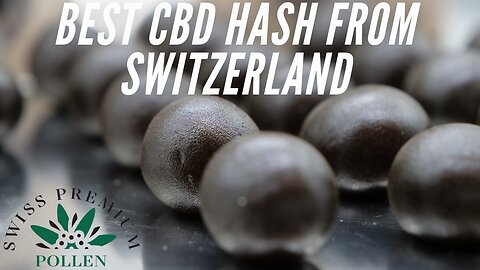 Best CBD Hash Swiss Premium Pollen