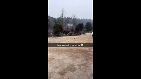 He was running for his life