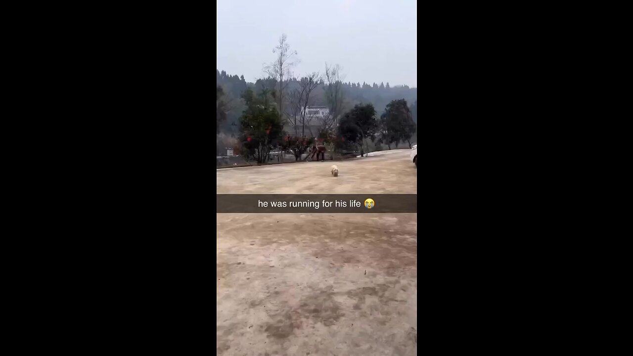 He was running for his life