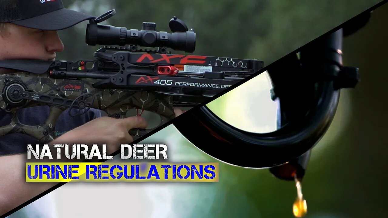 Regulations to Remember While Scouting for Whitetails