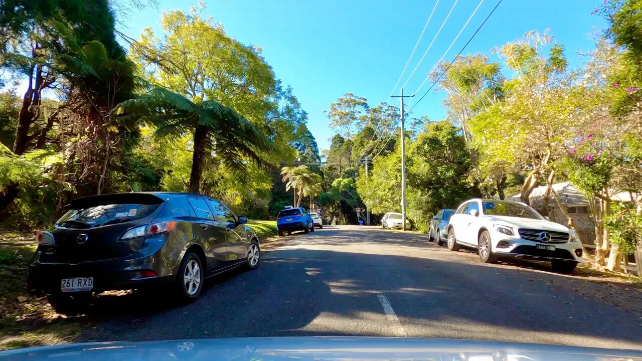 Driving in Australian Mountains - Springbrook Mountain | AUSTRALIA