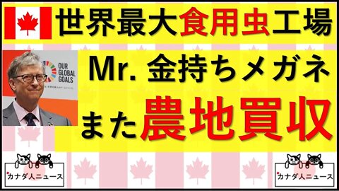 7.3 金+メガネ＝コオロギ