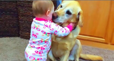 Babies Playing with Dogs Compilation - Funny Baby and Pets