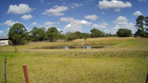 Afternoon at Venus Ranch.