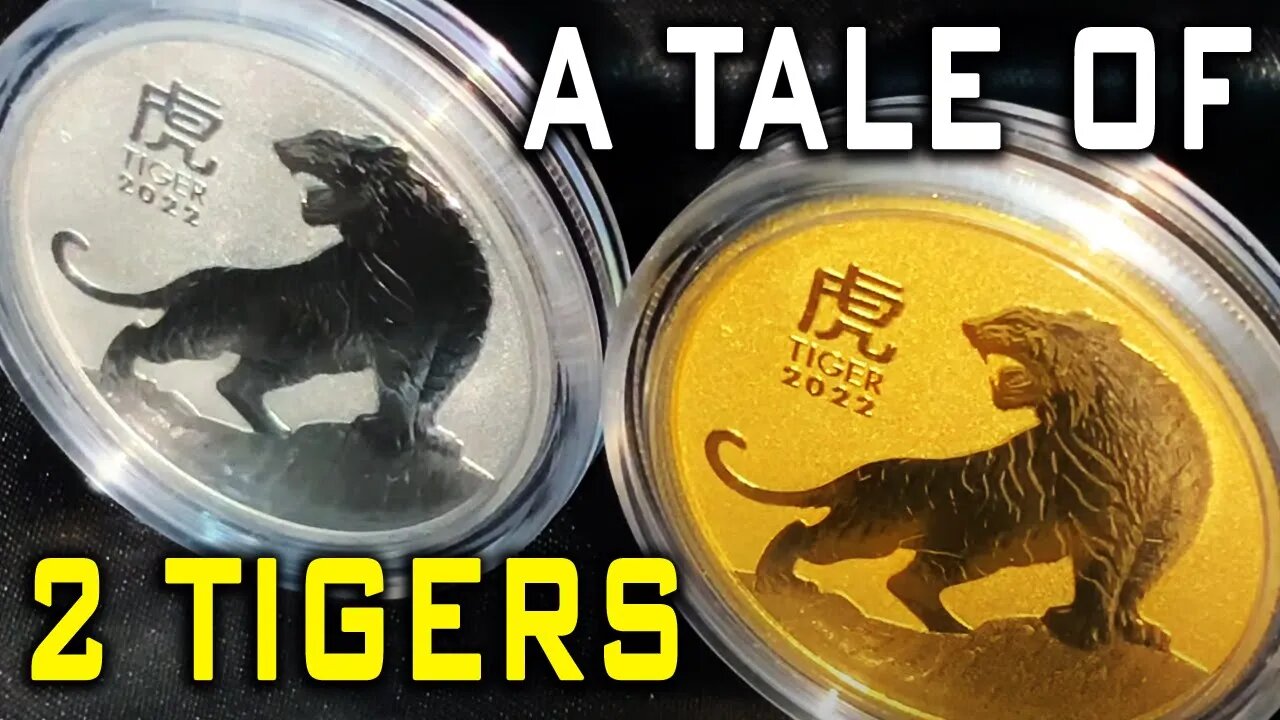 WOW! A Tale Of TWO TIGERS In Gold & Platinum