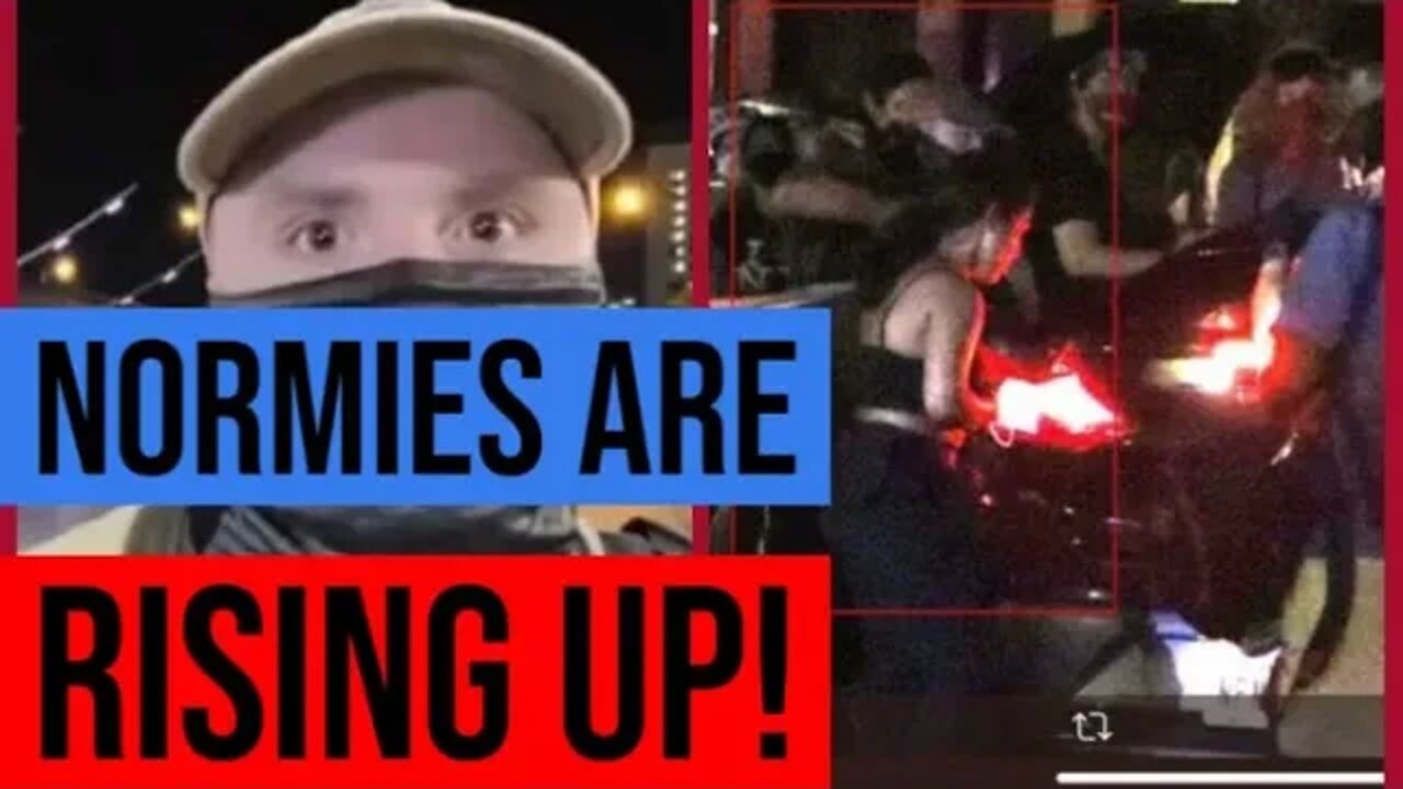 Assaulting Voters is Not An Effective Form of Political Activism