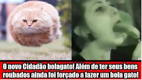 O novo Cidadão bolagato! Além de ter seus bens roubados ainda foi forçado a fazer um bola gato!