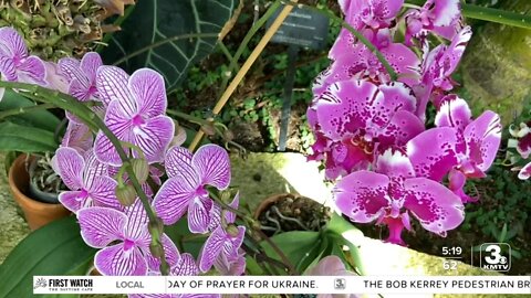 Lauritzen Gardens exhibit combines art and nature to explain plant life cycle