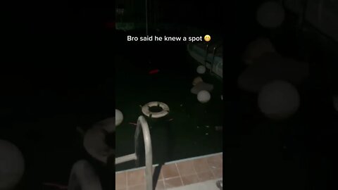 Bro said he knew a spot 😬