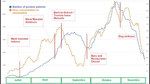 Sudden 600000 votes for Biden, 3200 for Trump. Ivermectin & Vitamin D. Help media-believers!