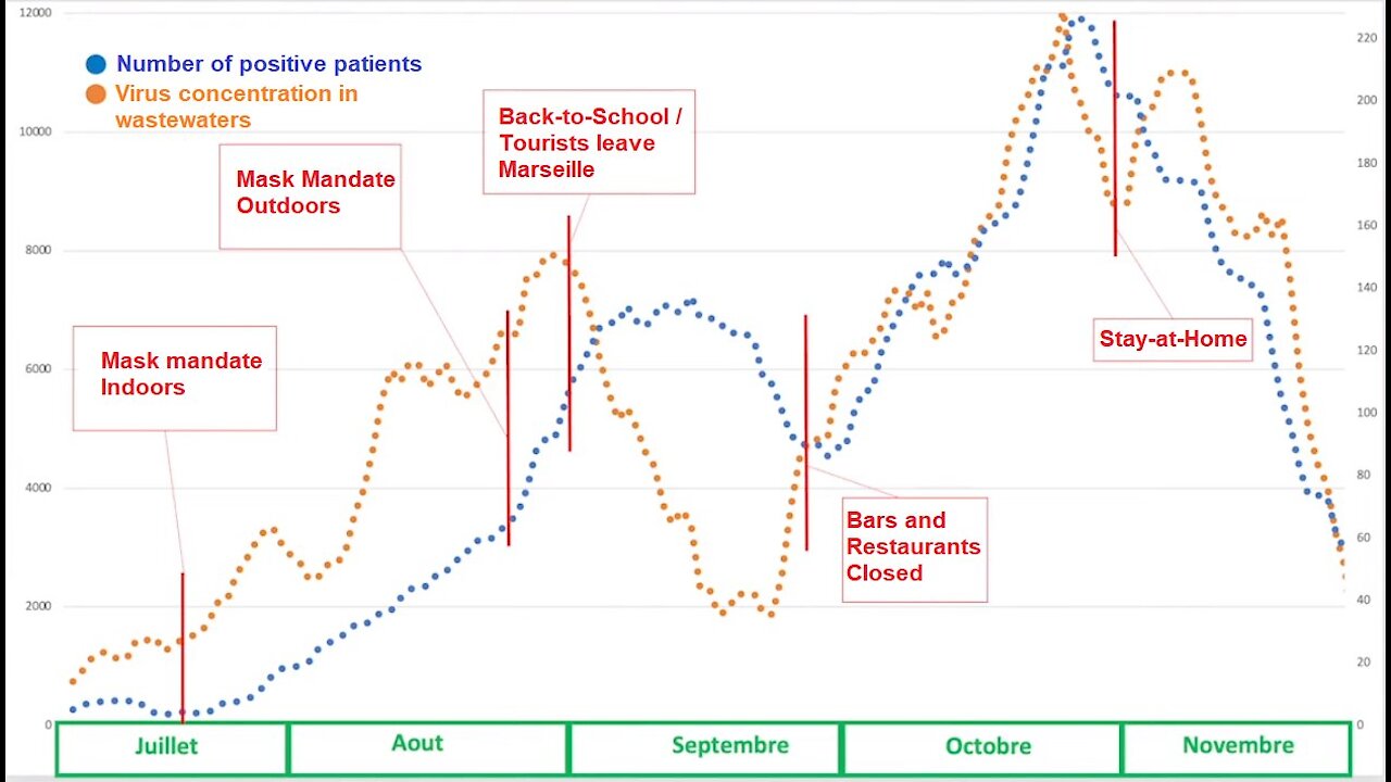 Sudden 600000 votes for Biden, 3200 for Trump. Ivermectin & Vitamin D. Help media-believers!