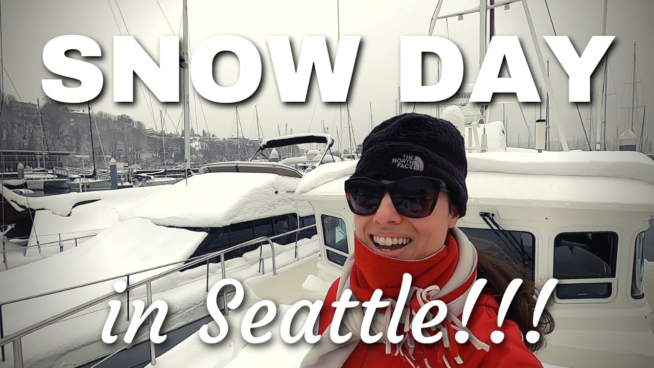 It's a SNOW DAY in Seattle, WA! [MV FREEDOM]