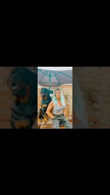 When they ask how someone of your size keeps hold of that dog?