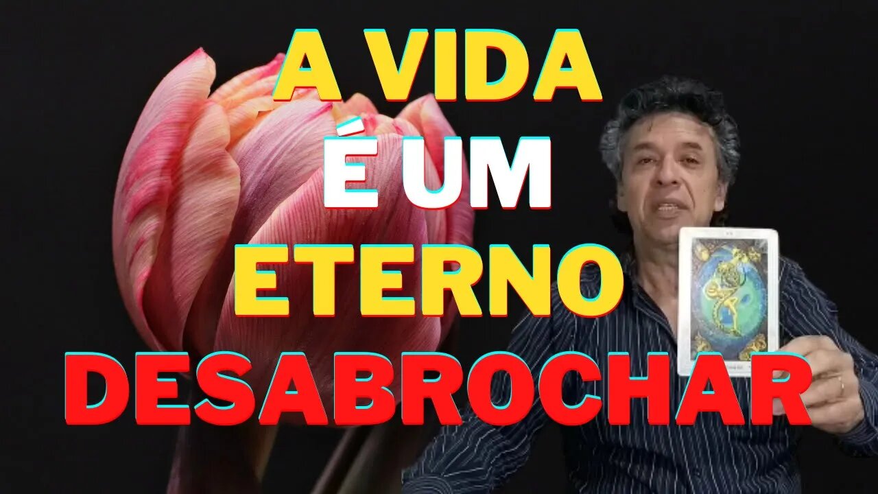 Entrando e Saindo a Vida Acontece | Cada Um de Nós é a Vida em Movimento