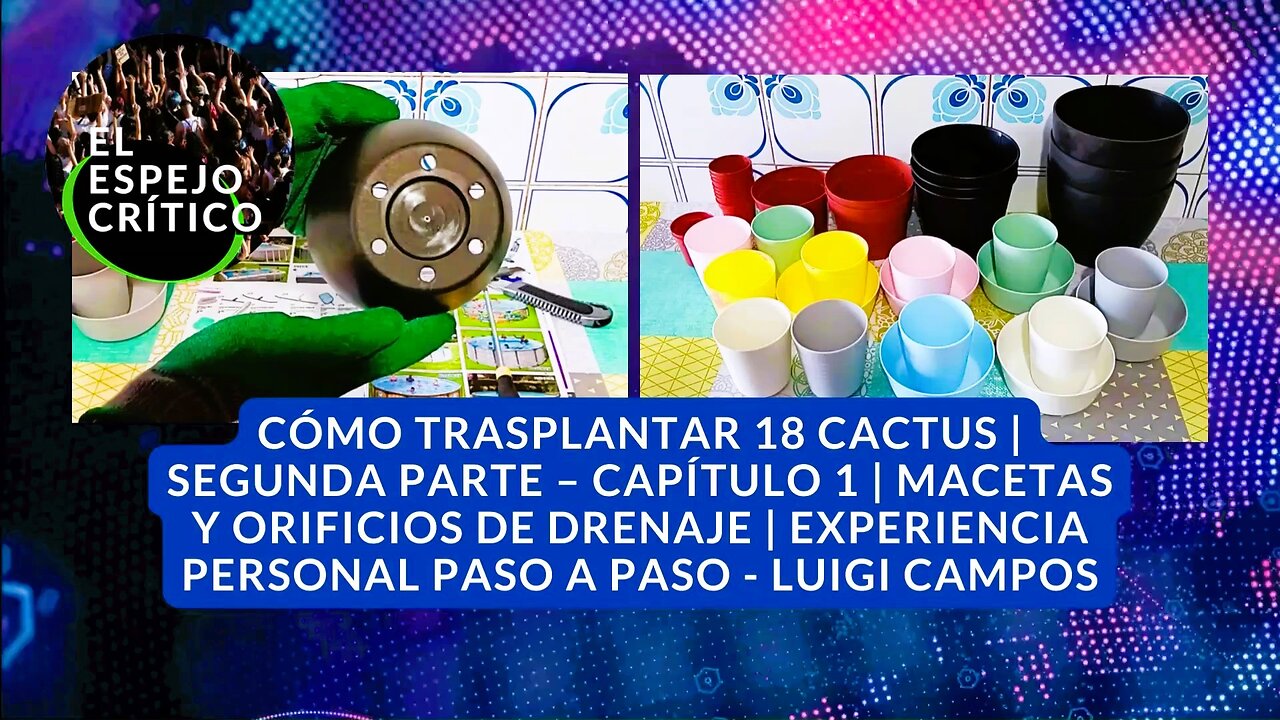 Cómo trasplantar 18 cactus | Segunda parte – Capítulo 1 | Luigi Campos