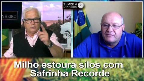 Milho estoura silos com Safrinha Recorde