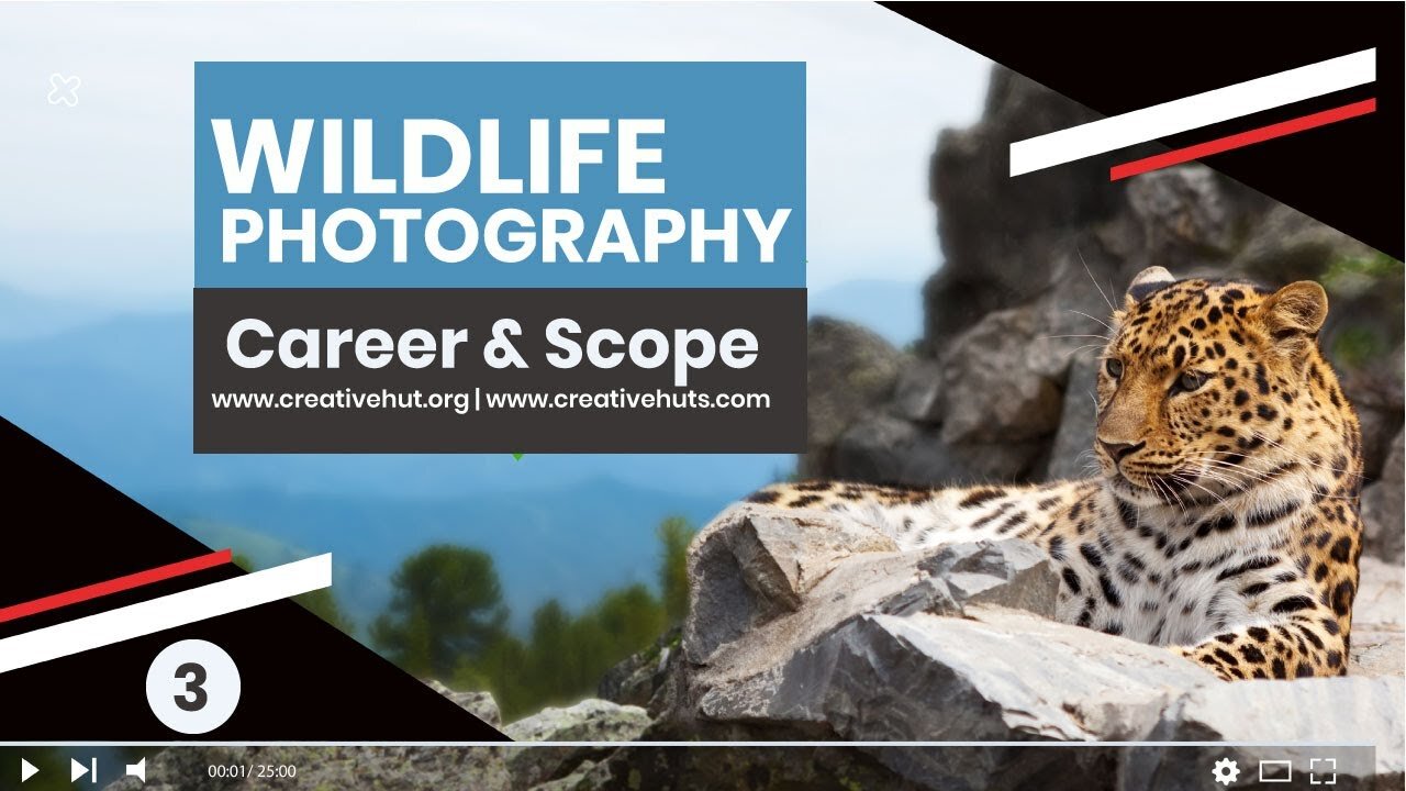 Wildlife Photography Career and Scope [English] -