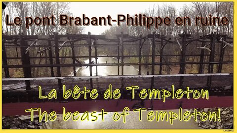 La bête de Templeton/The beast of Templeton!