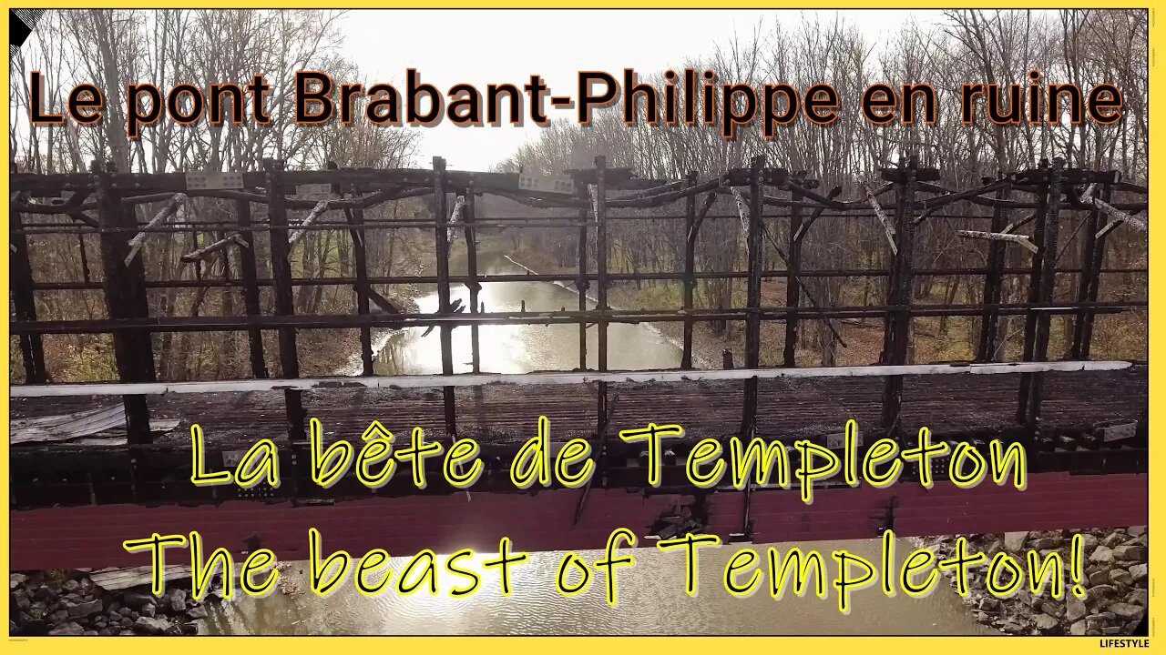 La bête de Templeton/The beast of Templeton!