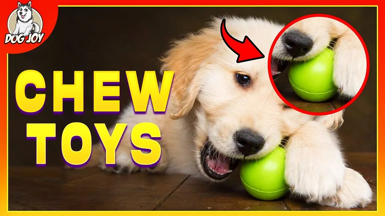 Dog Breeds that Can't Get Enough of Chew Toys