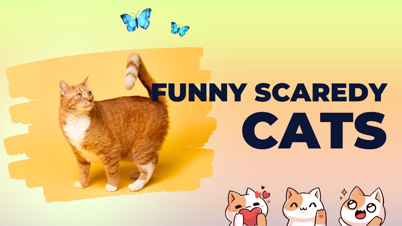 Funny Scaredy Cats Compilation! - (READ DESCRIPTION) 👇🔥