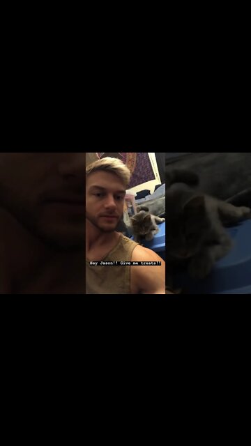 Kitty cat grabbing me